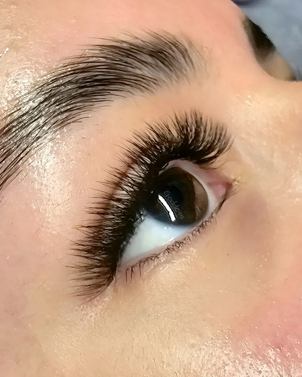 Resultado real de Foxy Liner